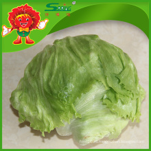 Юньнань свежие фрукты и овощи Органический салат